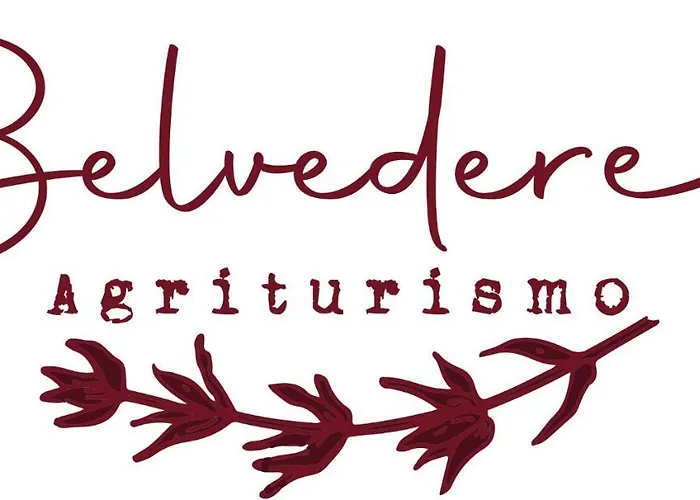 Belvedere 9